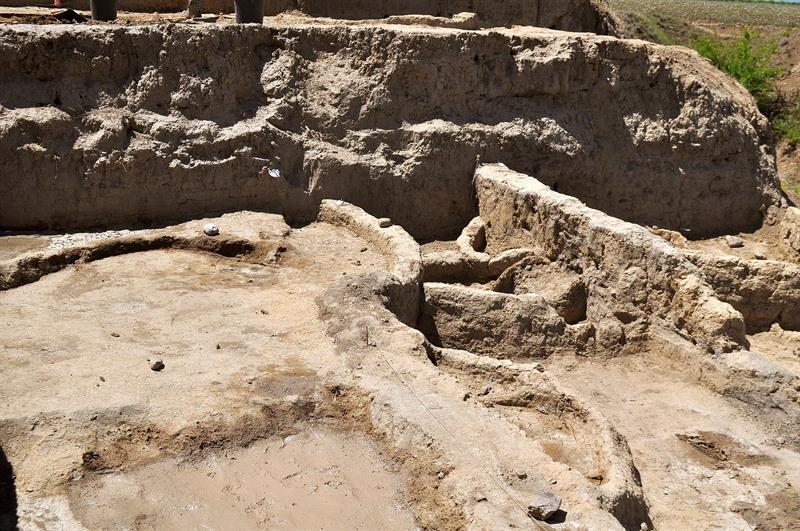  Man already made wine 8,000 years ago, according to archaeologists